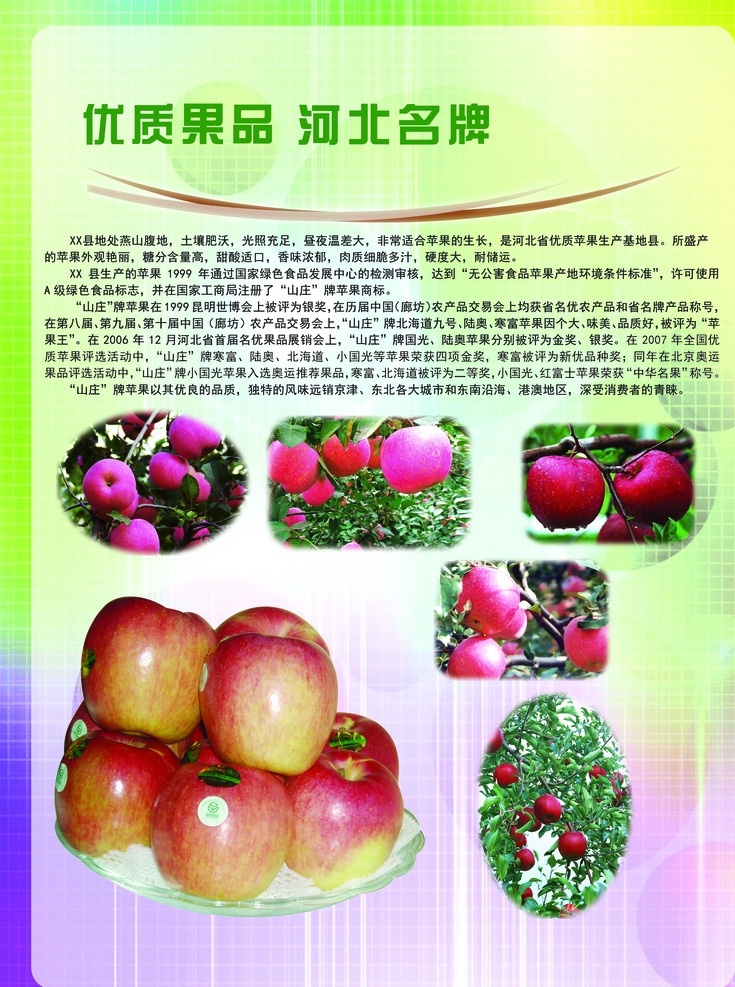 优质苹果 苹果图片 苹果展板 青苹果 苹果标签 苹果宣传单 水果苹果 农业