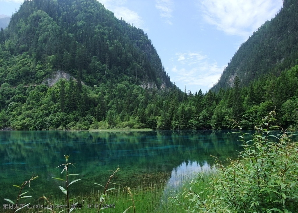 九寨沟 山 水 景色 绿色 美丽 大自然 四川 树 旅游 颜色 神奇 自然风景 自然景观