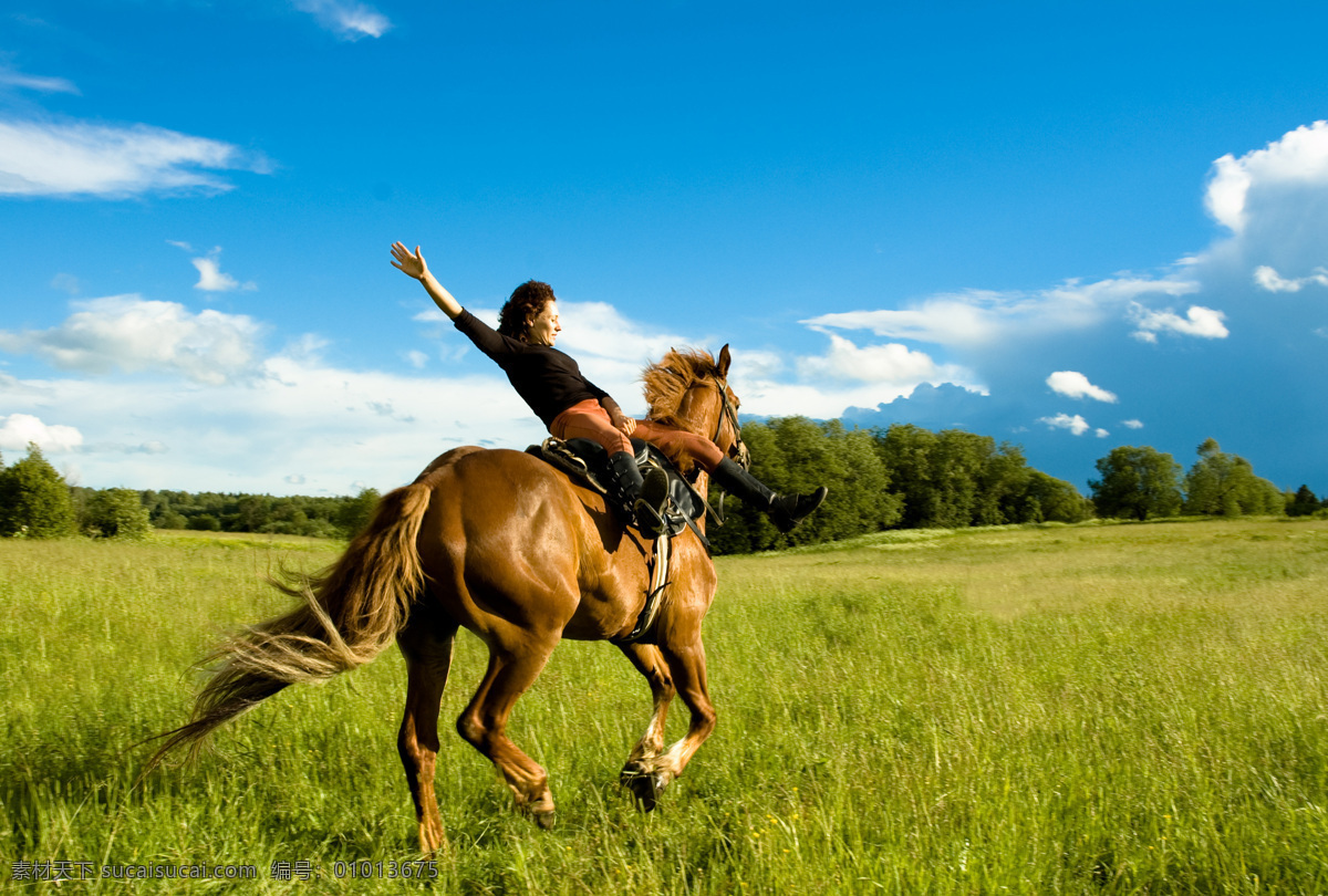 草原骑马 骑马 跑马 草坪 蓝天白云 高清图片 国内旅游 旅游摄影