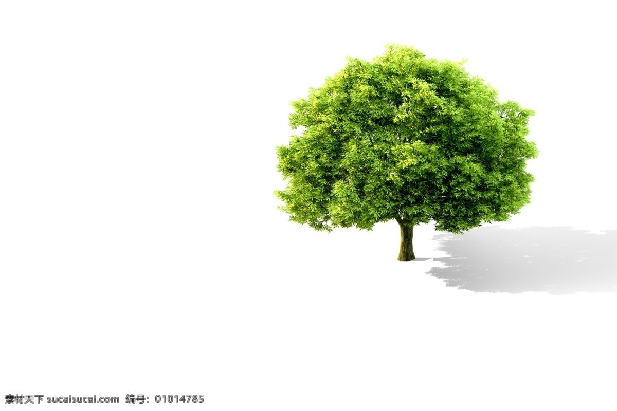 大叔 绿色 环保 大树 低碳生活 枝繁叶茂 分层