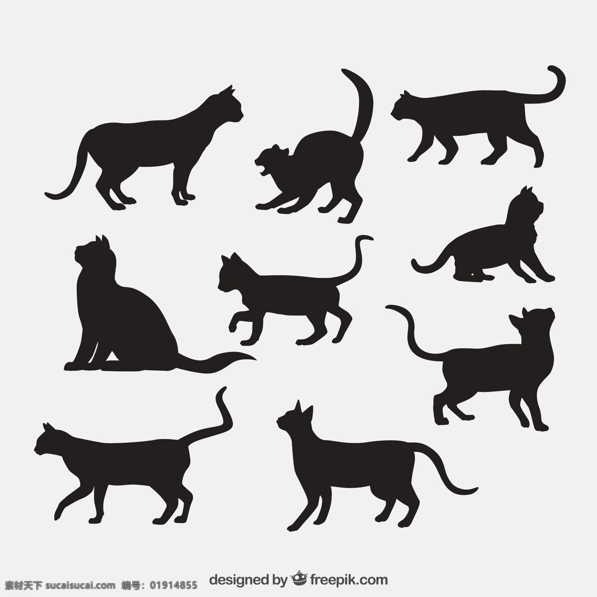 宠物猫剪影 猫剪影 动物剪影 动物世界 卡通动物 漫画动物 陆地动物 生物世界