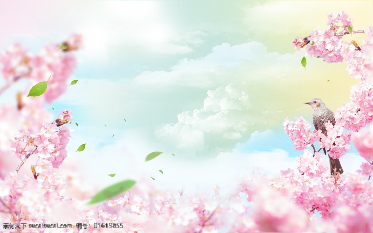 小 清新 文艺 花朵 banner 背景 图 花纹 桃花 文艺背景 小清新