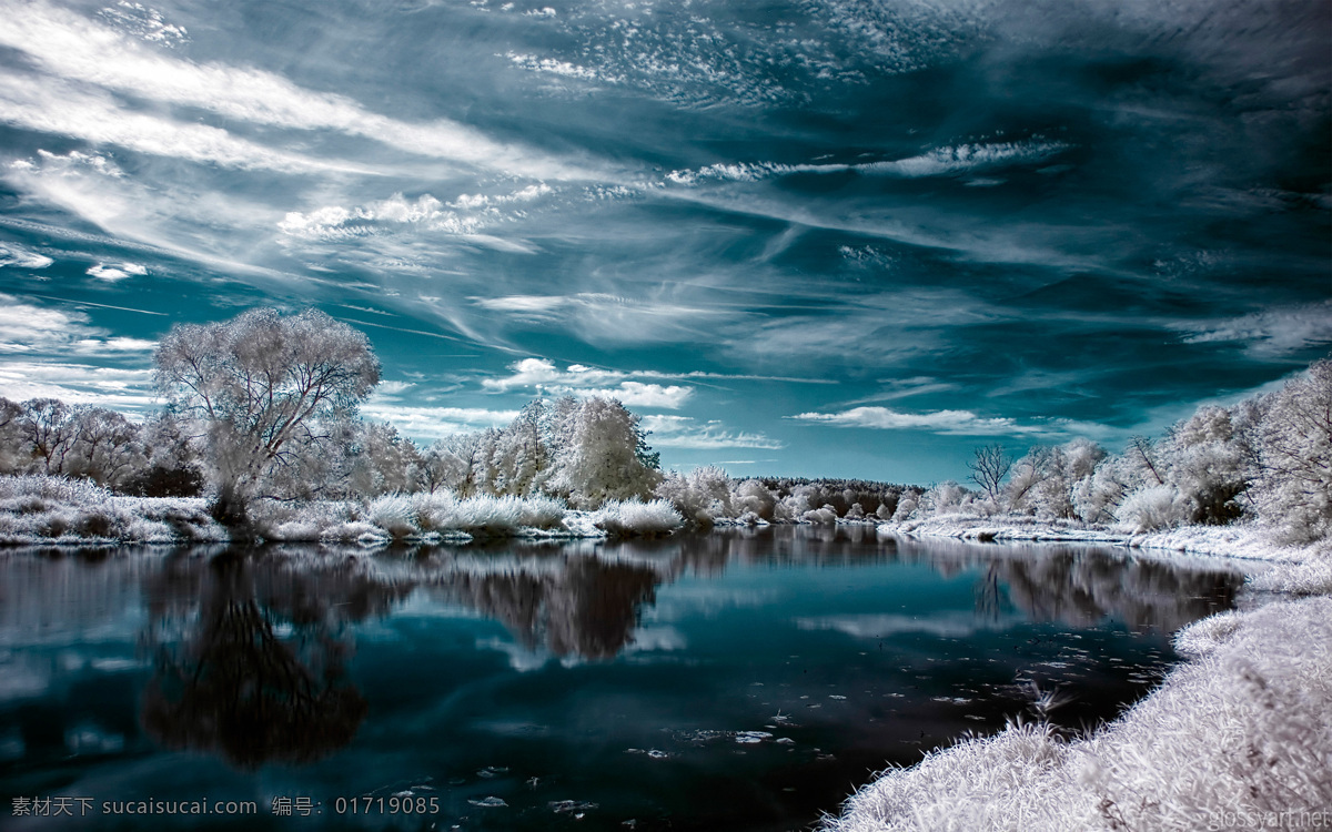 雪松湖 雪景 蓝色 白雪 天地 自然风景 自然景观