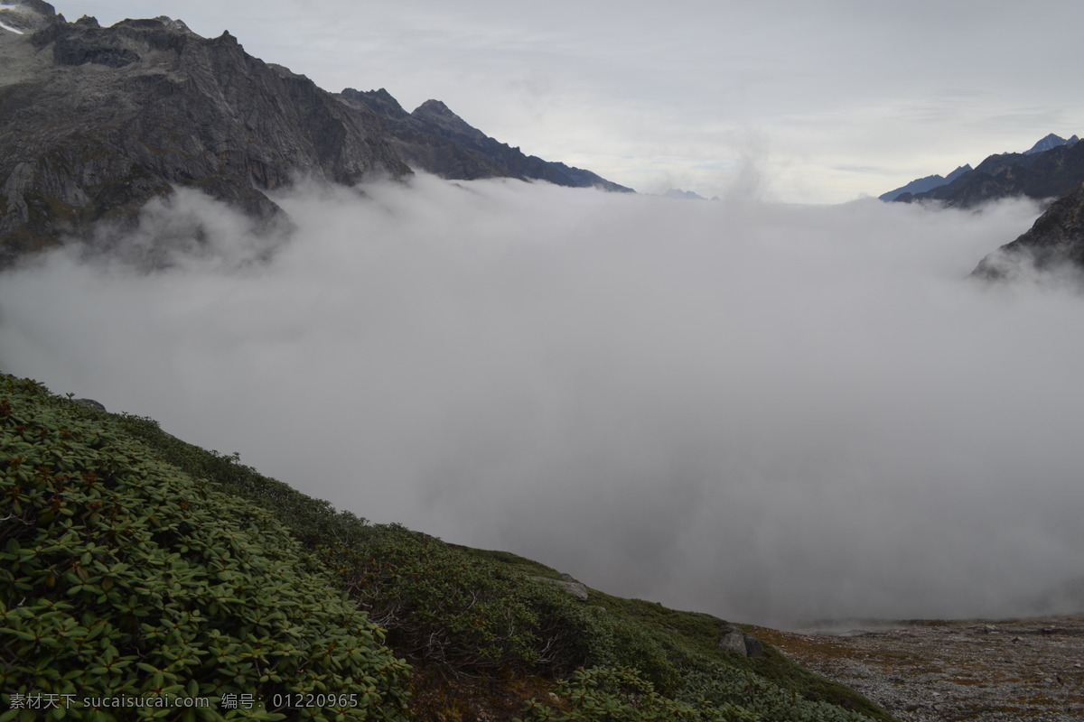 四姑娘山 云海 白云 雪山 高山 云雾 瀑布云 长坪 沟 自然景观 风景名胜 灰色