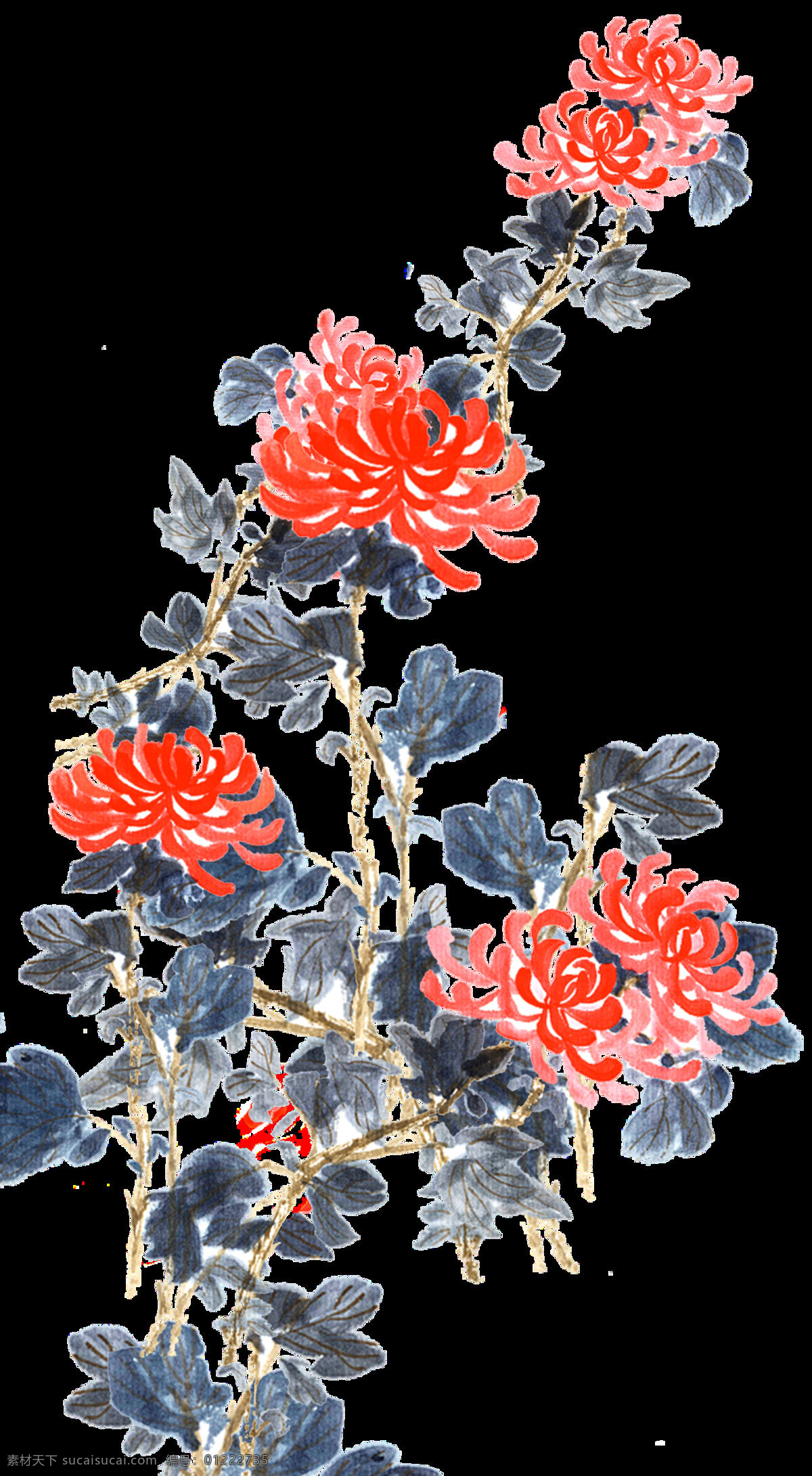 生机勃勃 橙红色 手绘 菊花 装饰 元素 橙红色花朵 深色叶子 植物 装饰元素
