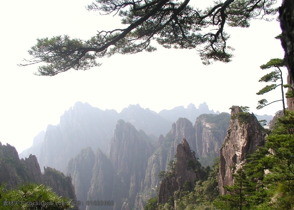 黄山 雨后黄山 黄山风景 国内旅游 旅游摄影