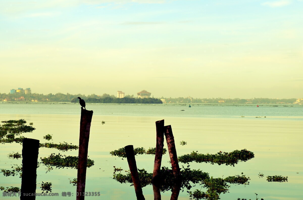 清新 湖泊 风景图片 小清新 清新风景 河流 河水 树桩