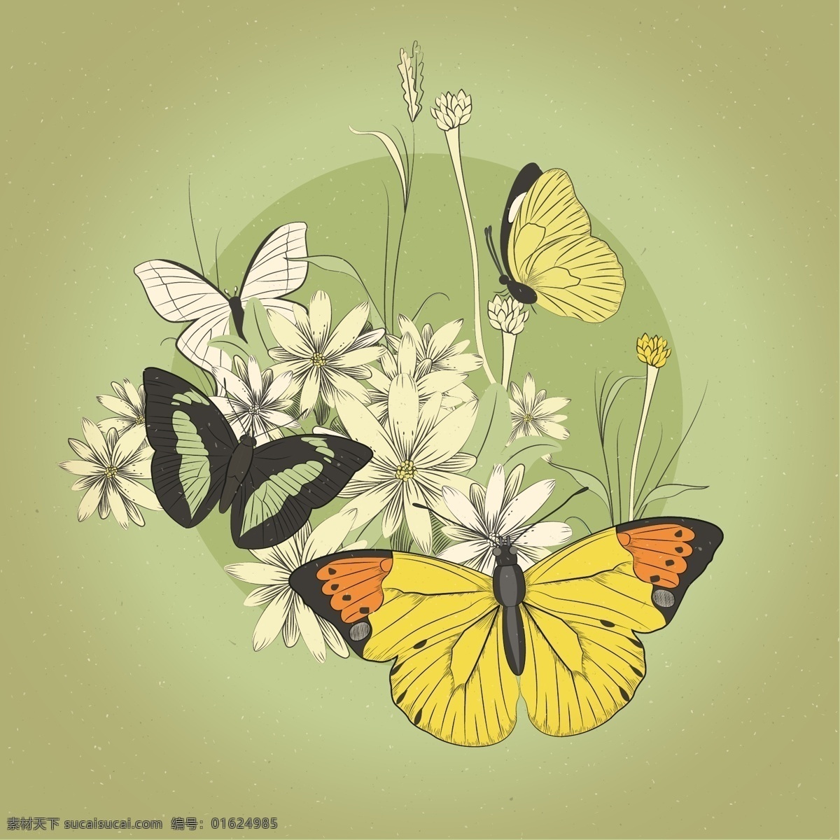 复古 蝴蝶 花卉 矢量 昆虫 植物 彩绘 底纹边框 花边花纹