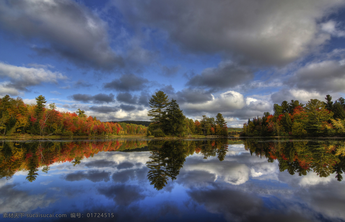 加拿大 河流 森林 秋季 天空 秋天 云朵 树林 树木 大自然 自然风景 自然景观