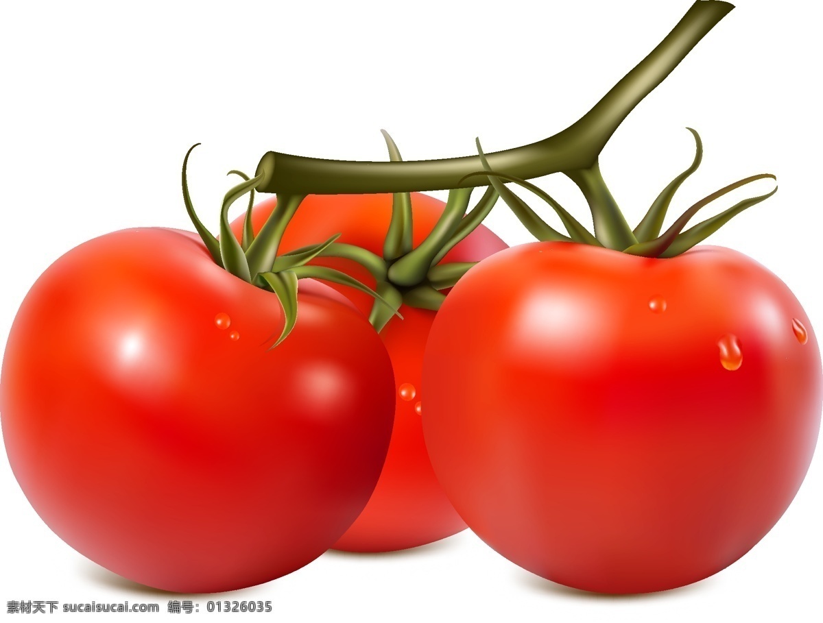 新鲜 有机 营养 西红柿 矢量图 蔬菜 透明元素 ai元素 免抠元素