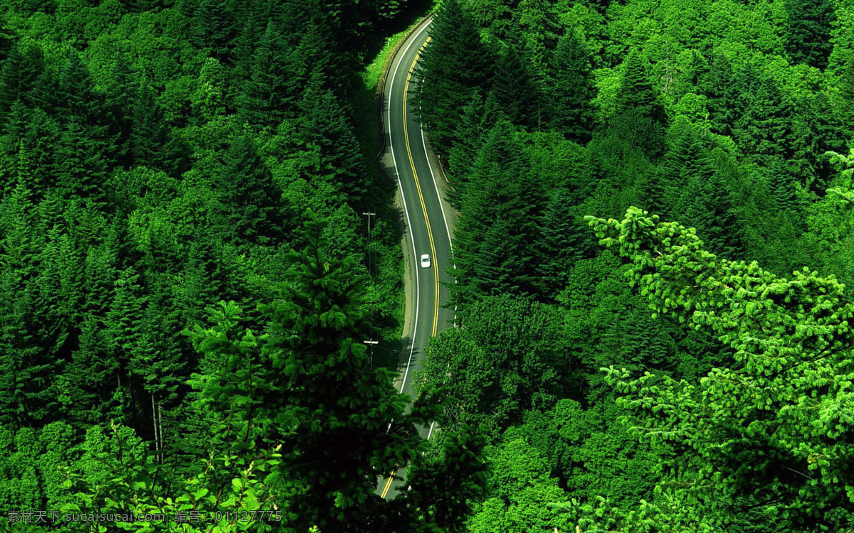 唯美路边风景