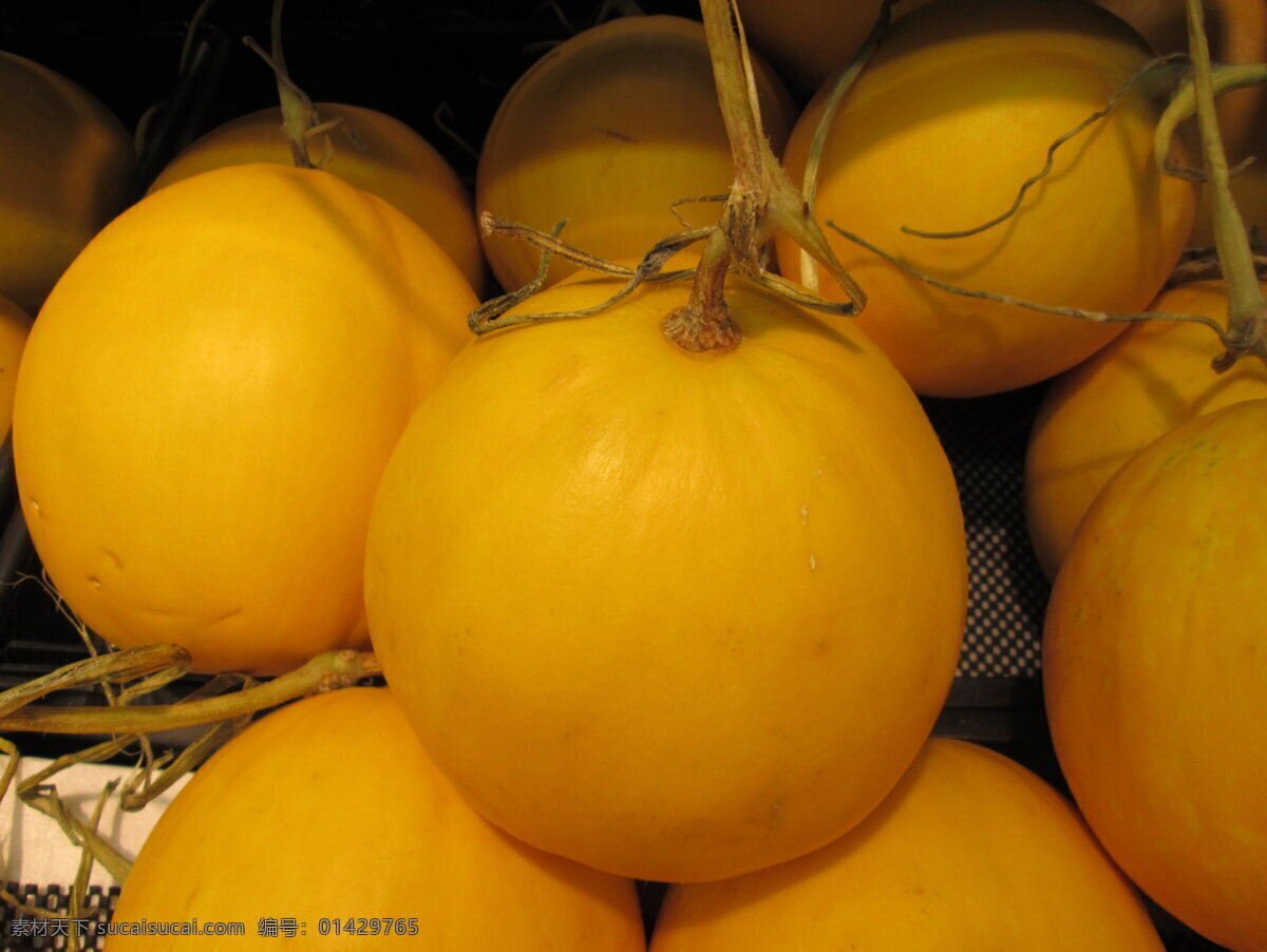 黄金瓜 金黄 滚圆 水果 植物 蔬果 生物世界