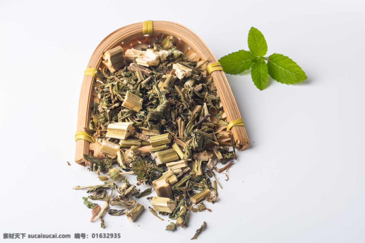 益母蒿 坤草 茺蔚 中药 中药材 药材 食物 食材 食物原料 中药益母草 餐饮美食