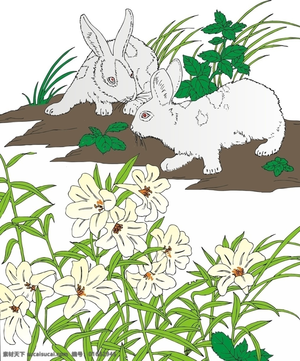 兔子 花草 白色花 矢量图 插画
