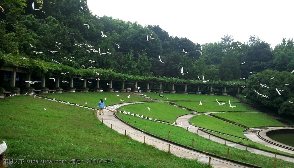 南京 中山陵 音乐台 南京中山陵 中山陵音乐台 南京旅游 南京风光 旅游摄影 国内旅游