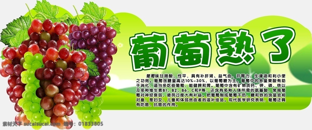 葡萄 熟了 好处 吃葡萄的好处 绿色健康 水果 龙眼 水晶葡萄 葡萄简介 营养 益处 分层 源文件