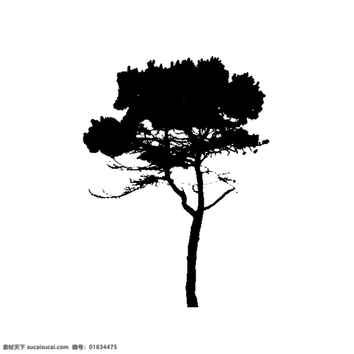树 剪影 植物 简约 黑白