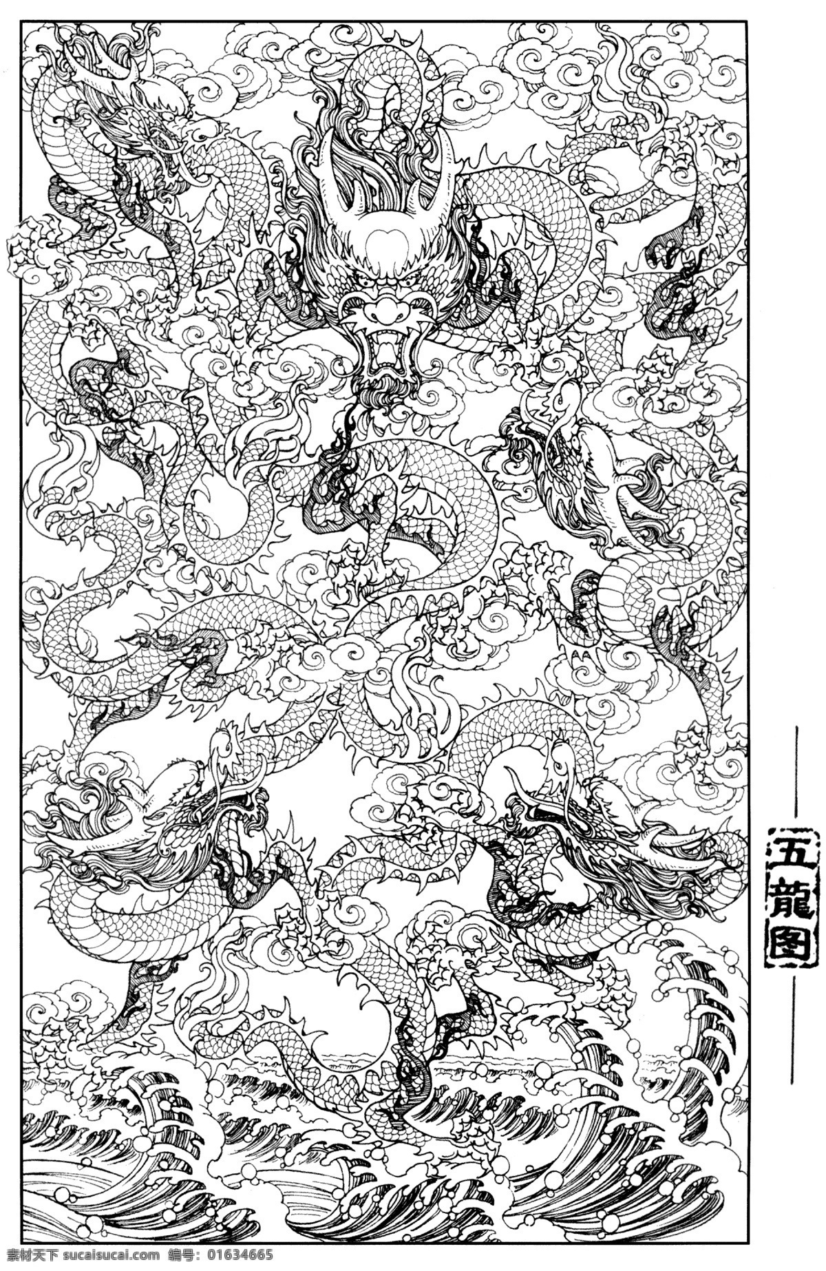 五龙图 线描 工笔画 黑白 白描 线条 陈金莺 矢量 陈金 莺 工笔 画册 绘画书法 文化艺术