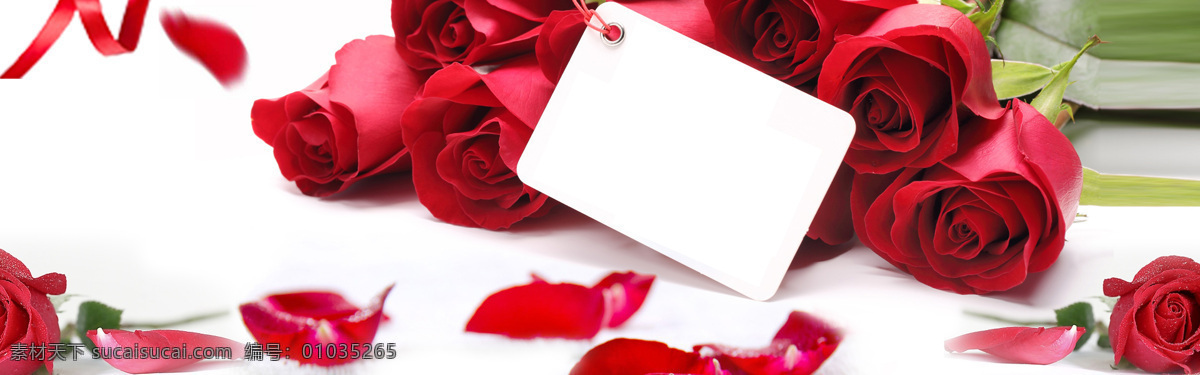 浪漫 红色 花朵 背景 banner 玫瑰花 情人节