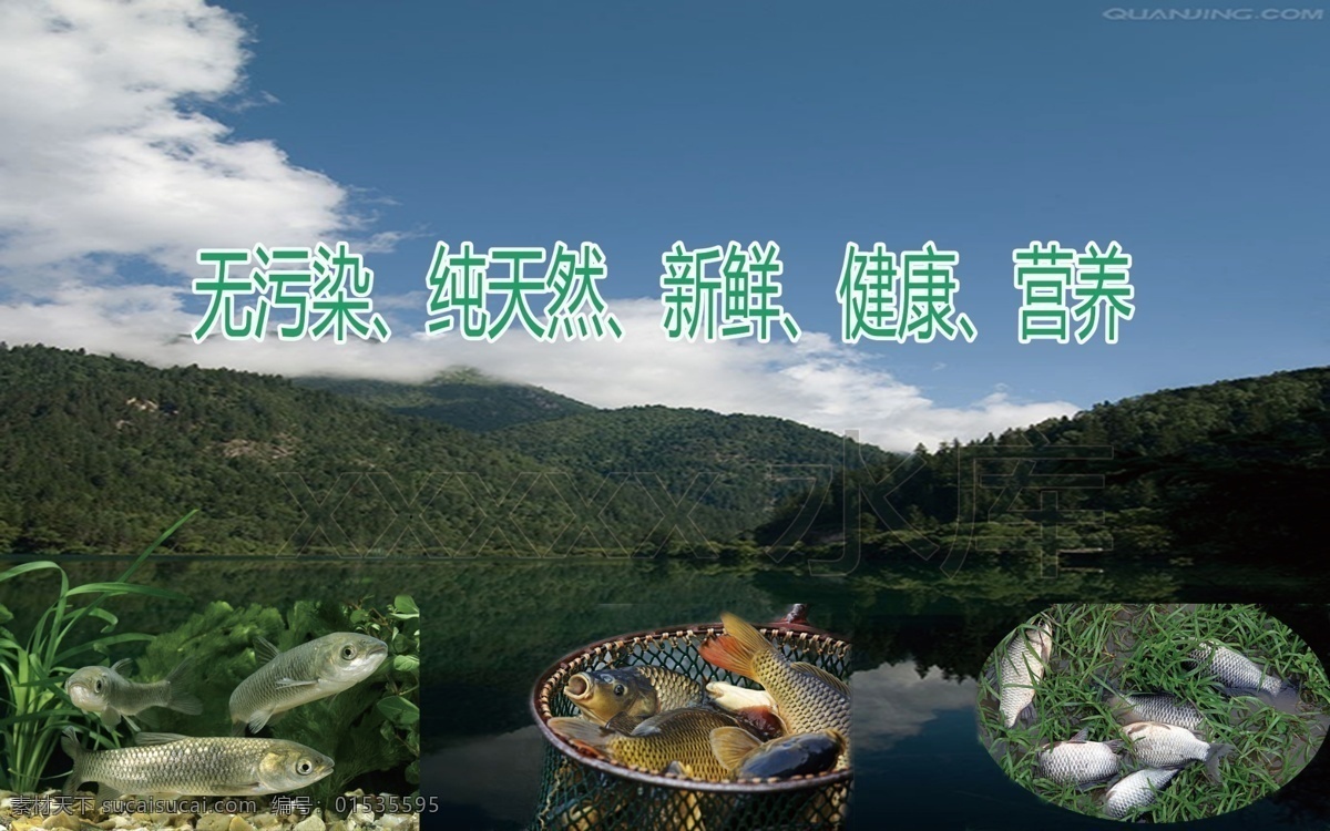 水库鱼 无污染 纯天然 健康 绿色 营养 生物世界 鱼类
