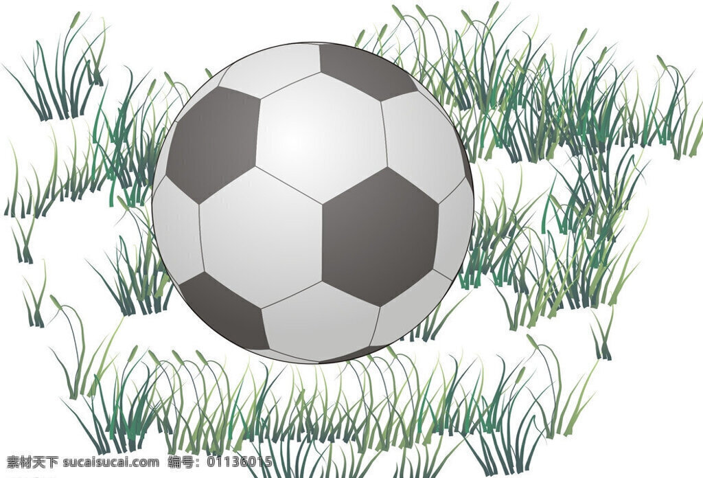 足球 运动 草地 草坪 奥运会 运动会 学校 比赛 展板 宣传 写真 黑白 清新 体育运动 文化艺术 矢量 白色