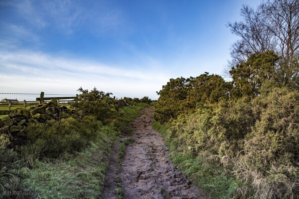 英国 约克郡 风景