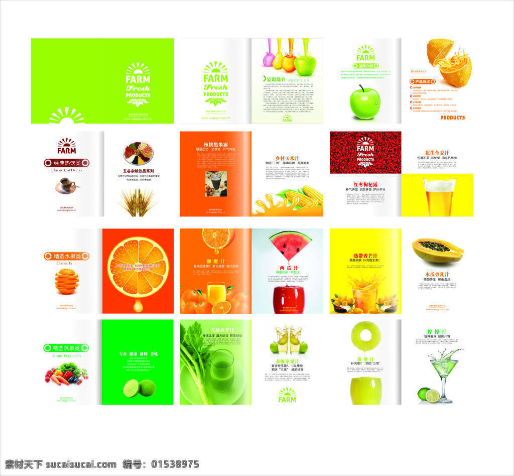 果汁 简约 风格 画册设计 图册 水果 高端 诱人 商业 商店 柠檬 木瓜 苹果
