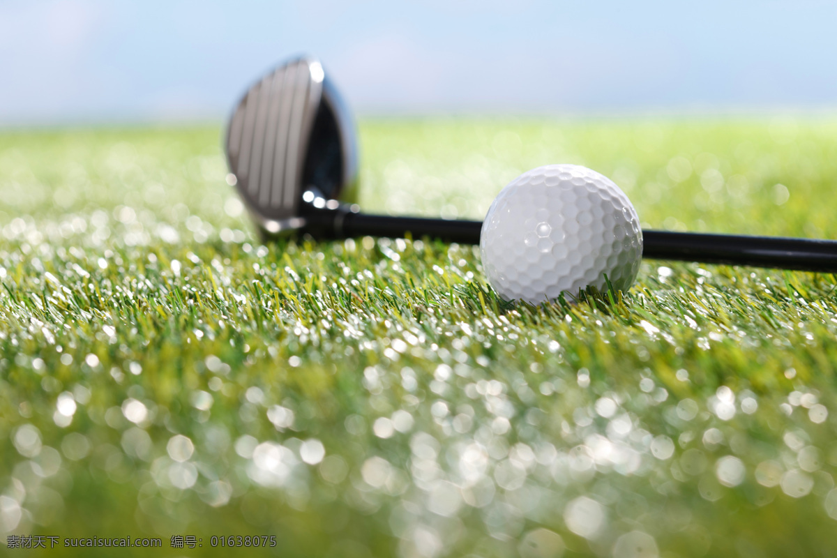 高尔夫球场 高尔夫球杆 休闲运动 高尔夫球 草皮 绿草地 文化艺术 体育运动
