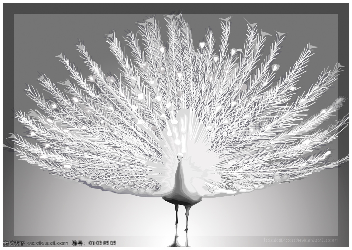 peacock 先生 ps笔刷