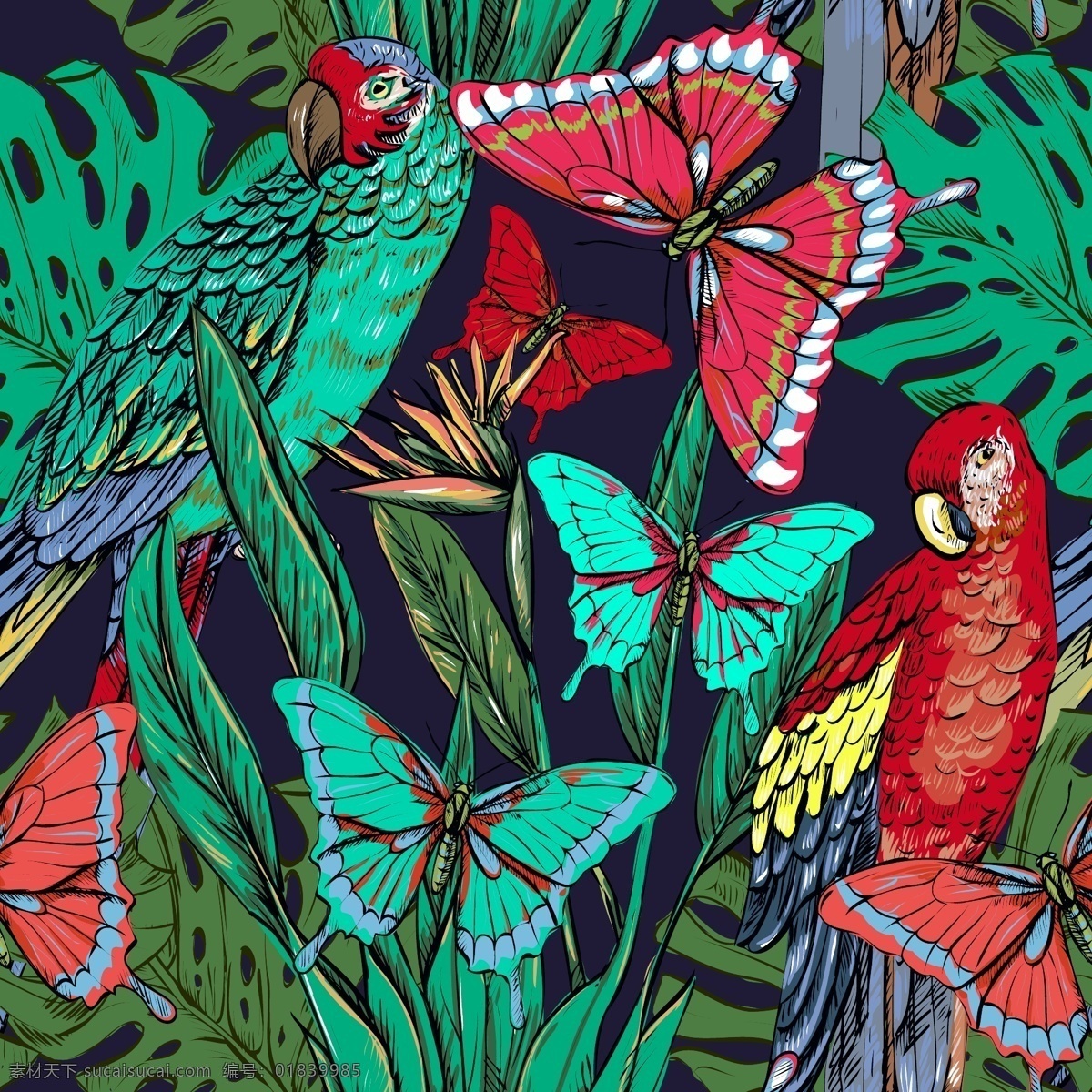 唯美 彩色 手绘 鹦鹉 蝴蝶 插画 动物 叶子 植物
