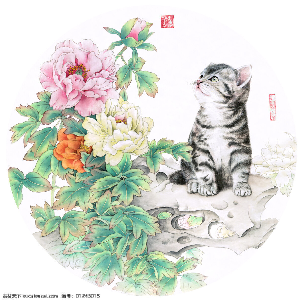 卢 芳 工笔画 猫咪 富贵 图 卢芳 富贵图 女画家 文化艺术 绘画书法