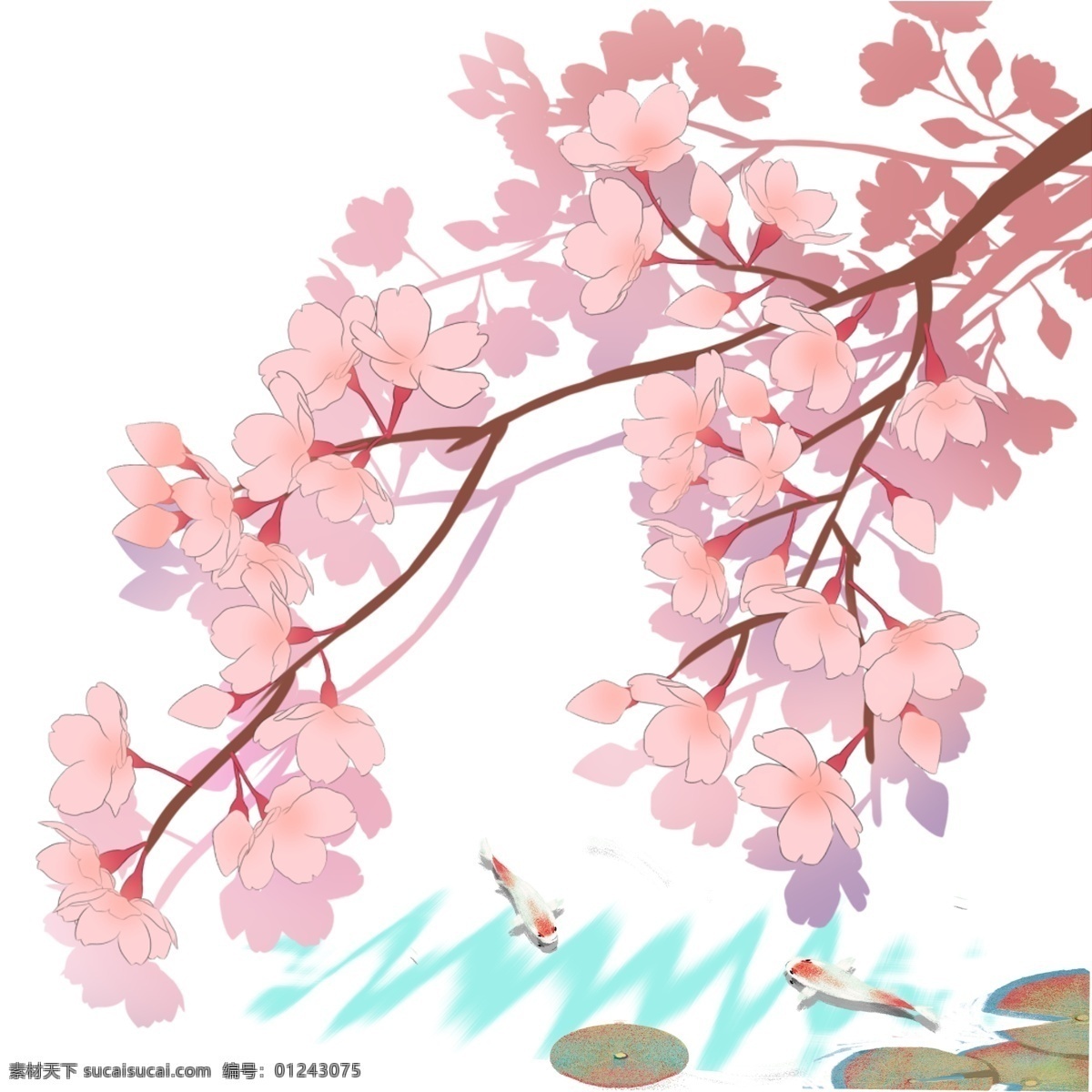 日本 春天 樱花 锦鲤 池塘 风景 春季 花卉 花朵 粉色花瓣 樱花树 树枝 观赏樱花 手绘樱花 水纹 波浪 池塘景致