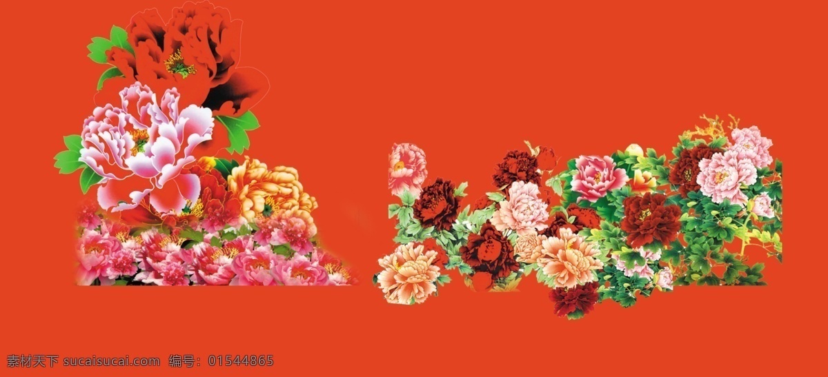 中国国花牡丹