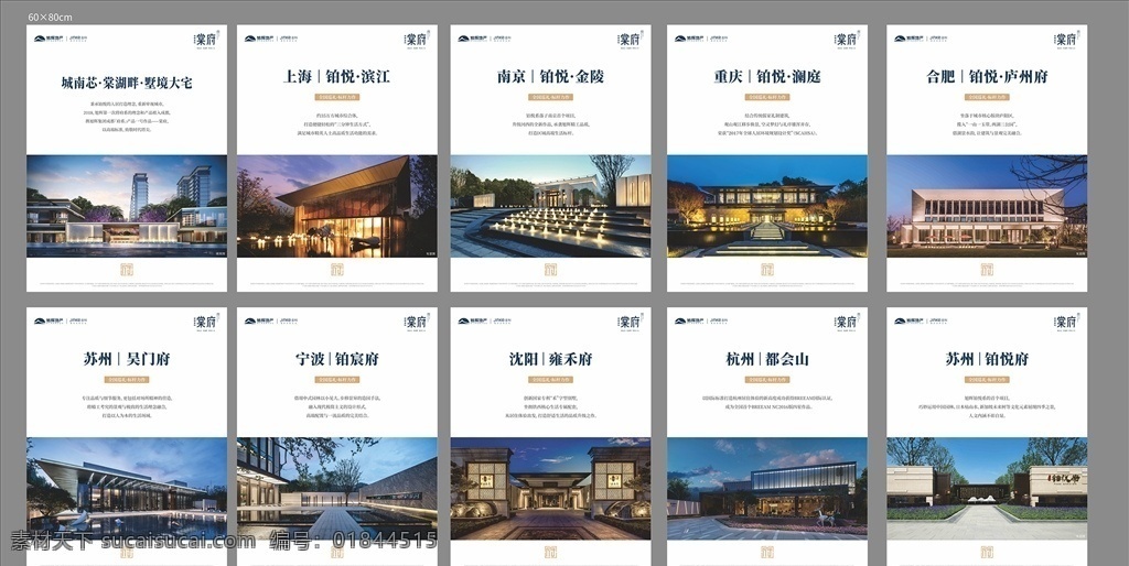 项目海报 地产 物料 广告 印刷 棠fu