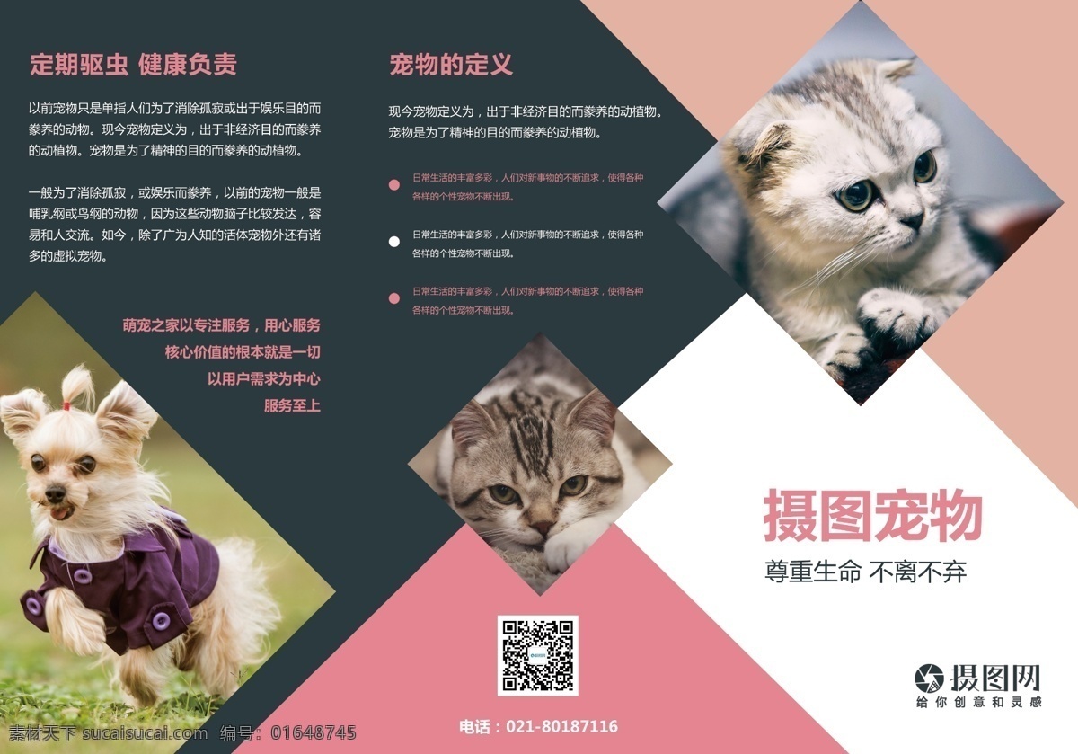 简约 几何 宠物 商店 用品 店 猫 狗 宣传 三 折页 粉色 宠物商店 宠物用品 促销