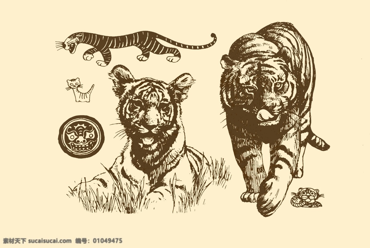 动物图案 虎 卡通 动物 纹样 图案 白描 简笔画 儿童画 老虎 虎年 百兽之王 分层 源文件