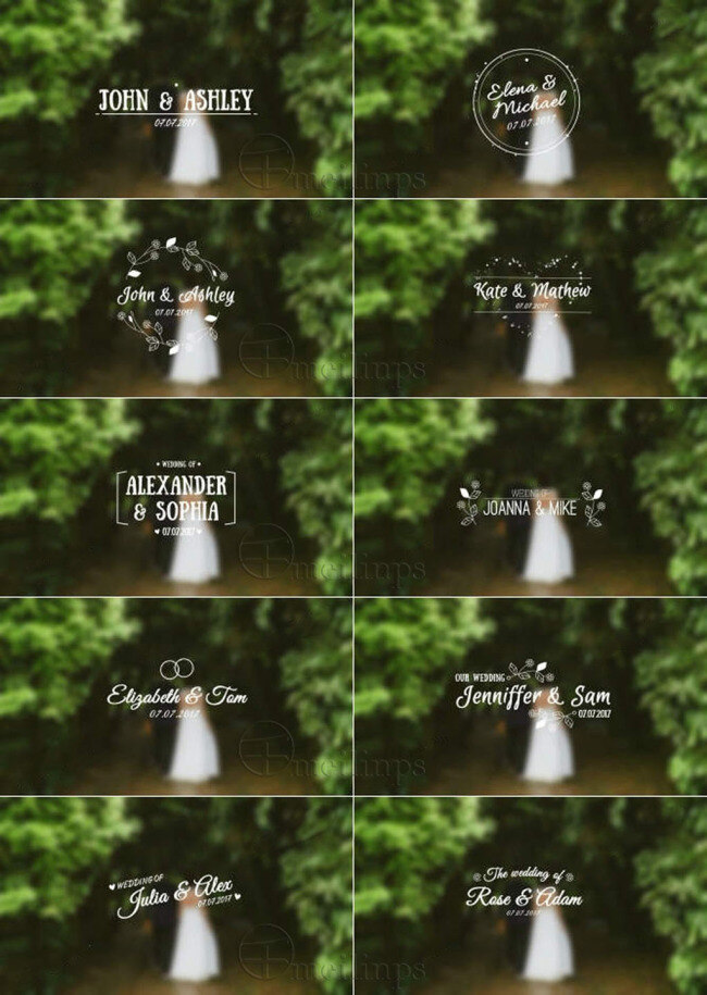 小 清新 婚礼 主题 标签 ae 模板 ae模板 cs5.5 干净 排版 版式 布局 文字动画 花朵 小花 线条 叶子 爱心 唯美