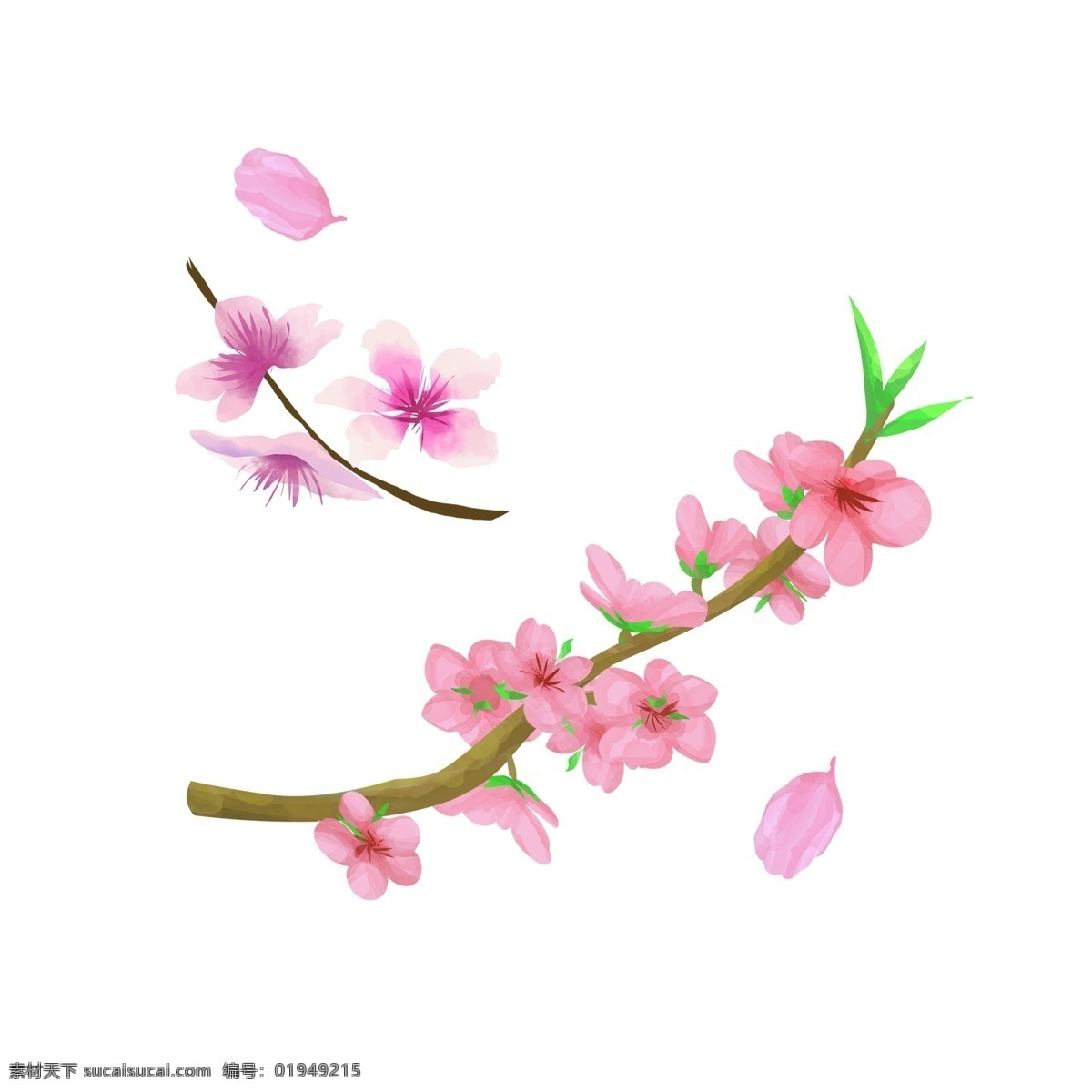 手绘 浪漫 唯美 水彩 植物 桃花 花瓣 元素 花卉 清新 春天 开花 装饰 透明 粉色 花朵 漂浮