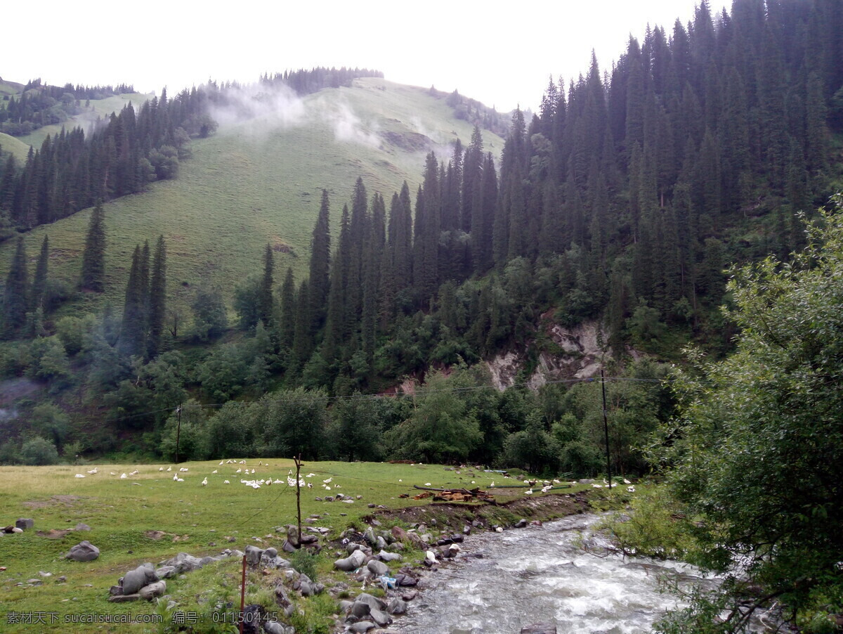 新疆 南疆 草原 巩奈斯 高山 旅游摄影 国内旅游