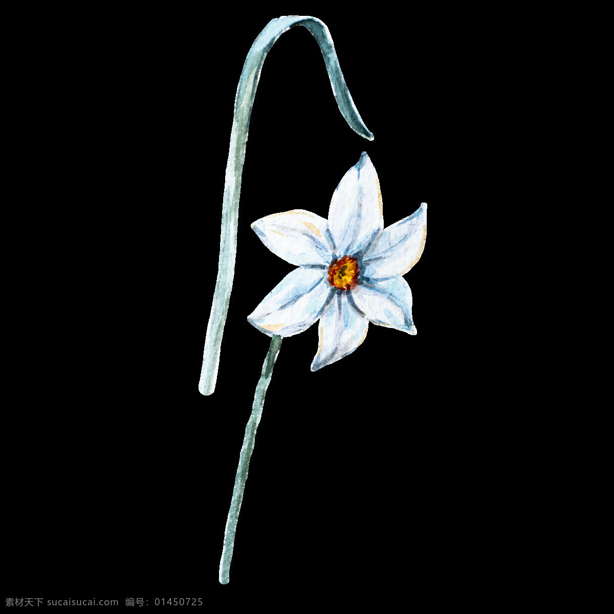 高贵 白色 花卉 卡通 透明 抠图专用 装饰 设计素材