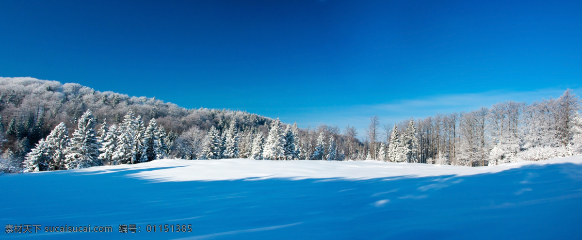 冬季 森林 雪地 风景 美丽雪地风景 雪景 树林雪景 宽幅风景 冬季美景 冬天风景 景色 风景摄影 山水风景 风景图片