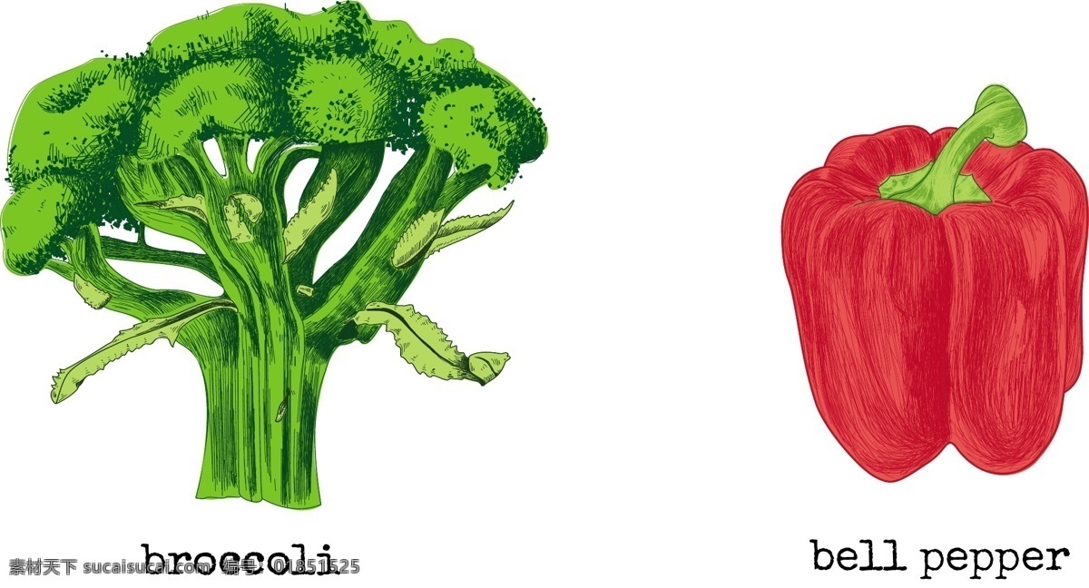 花椰菜 蔬菜 logo 餐饮 食品行业 标志 矢量 辣椒 水果椒 卡通 手绘 铅笔画 健康