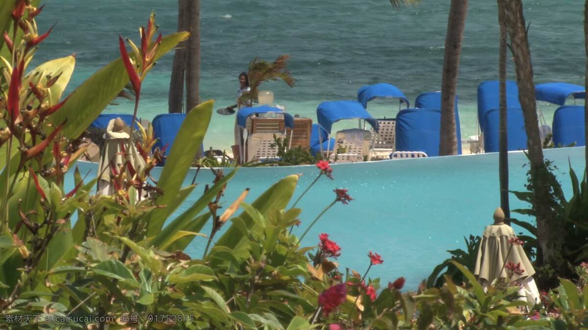 波光粼粼 游泳池 附近 海浪 股票 视频 海 海洋 热带 视频免费下载 湾 植物 圣汤姆斯 st 托马斯 加勒比海 池畔 微光 棕榈 其他视频