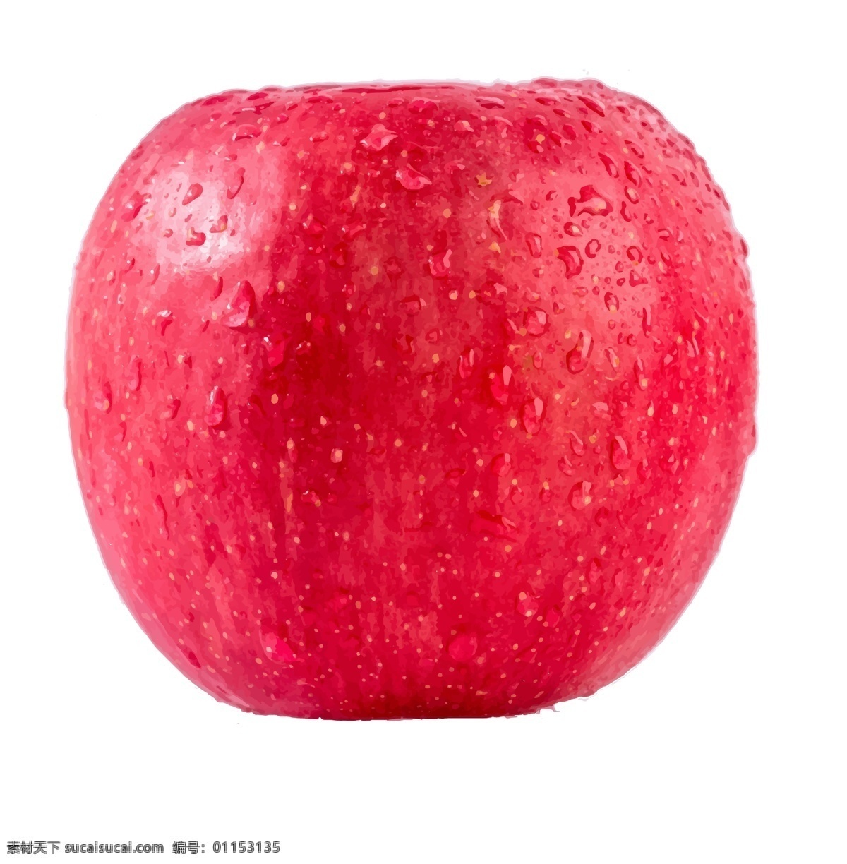 矢量苹果 苹果 ai矢量素材 矢量 水果