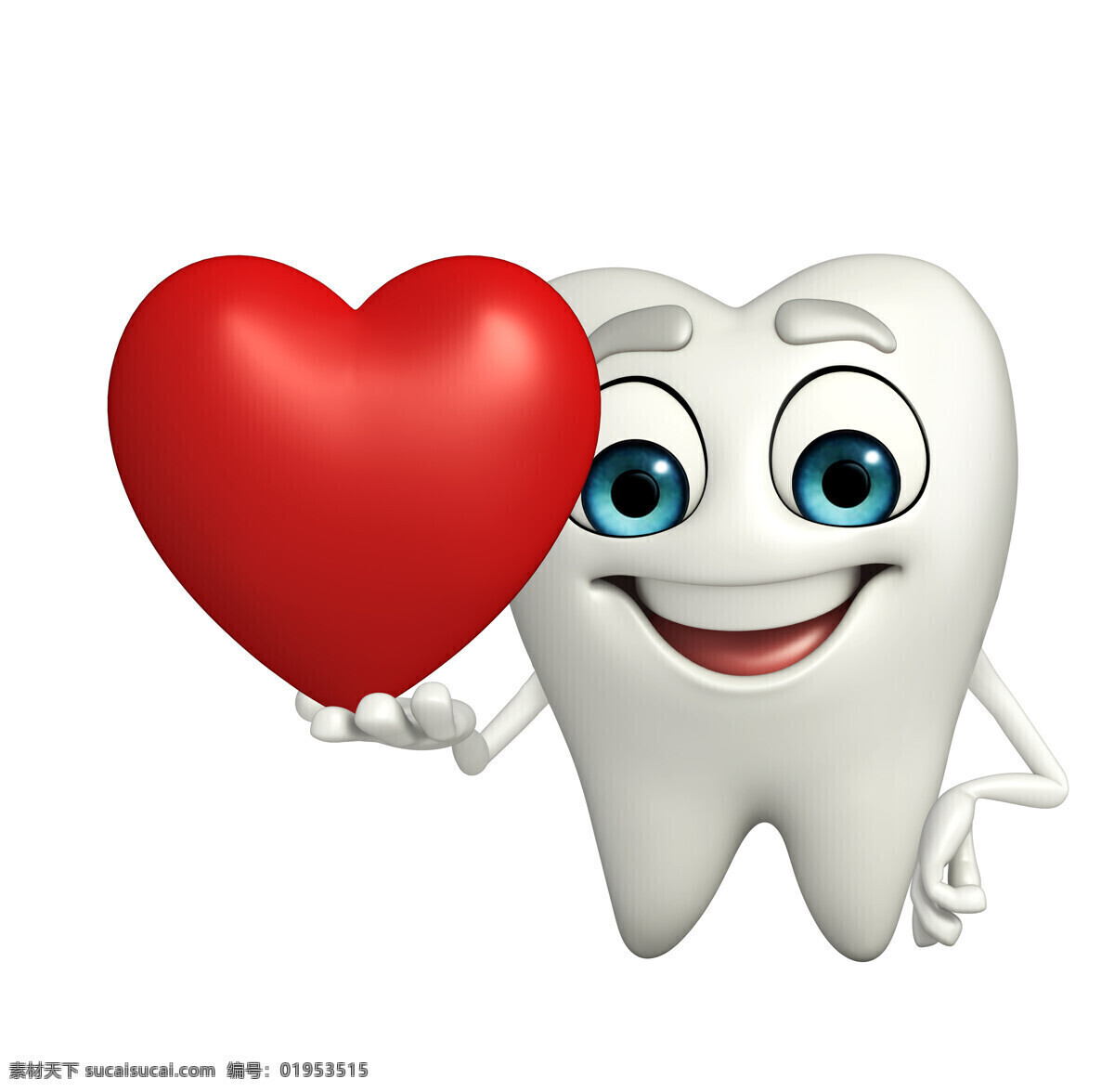 卡通 牙齿 高清 牙齿模型 白板 保护牙齿 牙科 健康