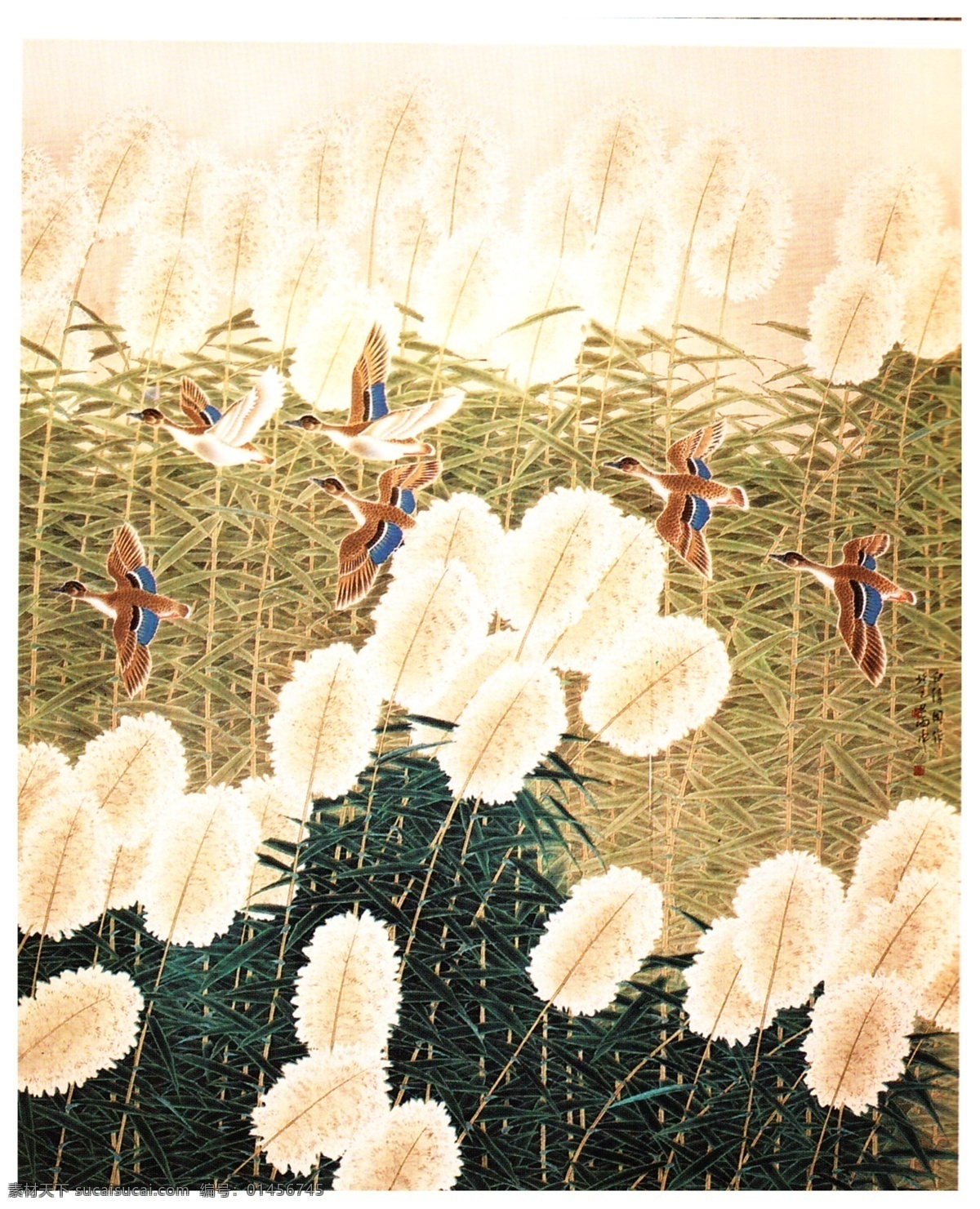 芦苇花开 芦苇 芦苇荡 野鸭 大雁 工笔画 装饰画 挂画 无框画 墙壁挂画 白伟国绘画 国画集 绘画书法 文化艺术