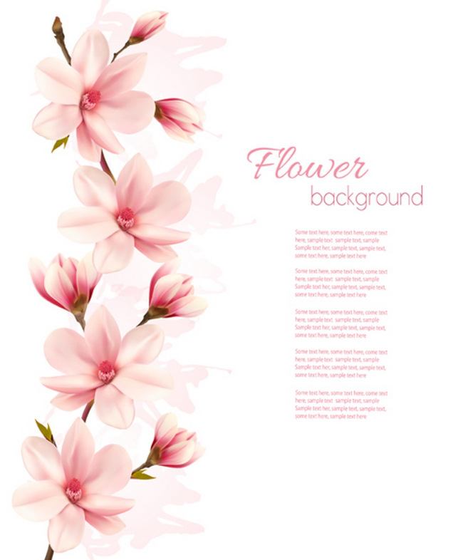 春天花朵背景 花 花朵 春天 矢量背景