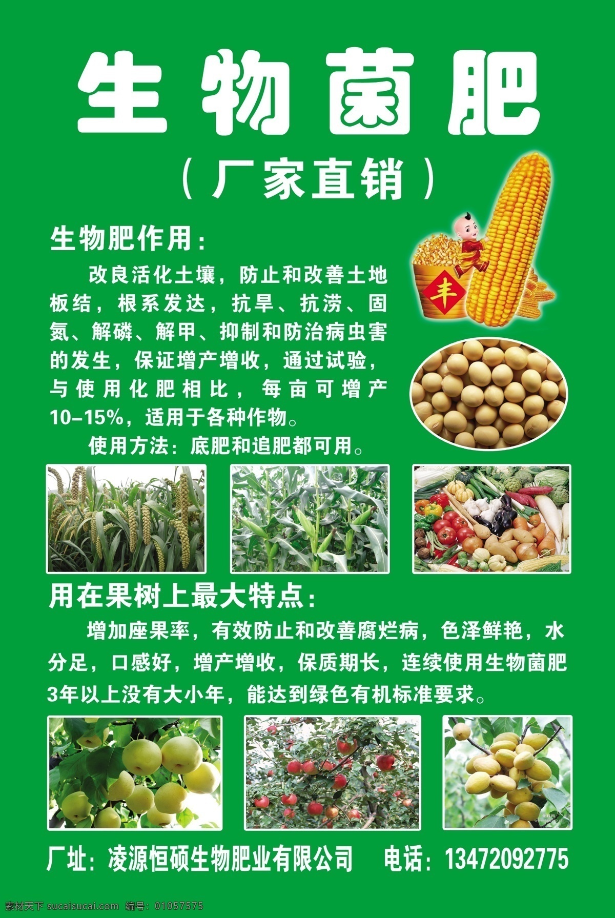 生物 菌肥 宣传单 生物菌 肥料 肥业 绿色产品 dm宣传单 农业