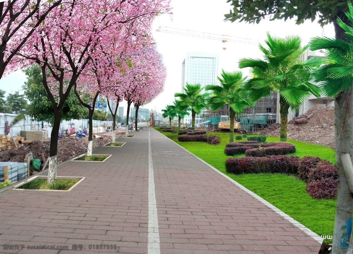 市政 人行道 绿化 效果图 道路 透视 效果 园林 景观 市政道路 广场绿化 分层