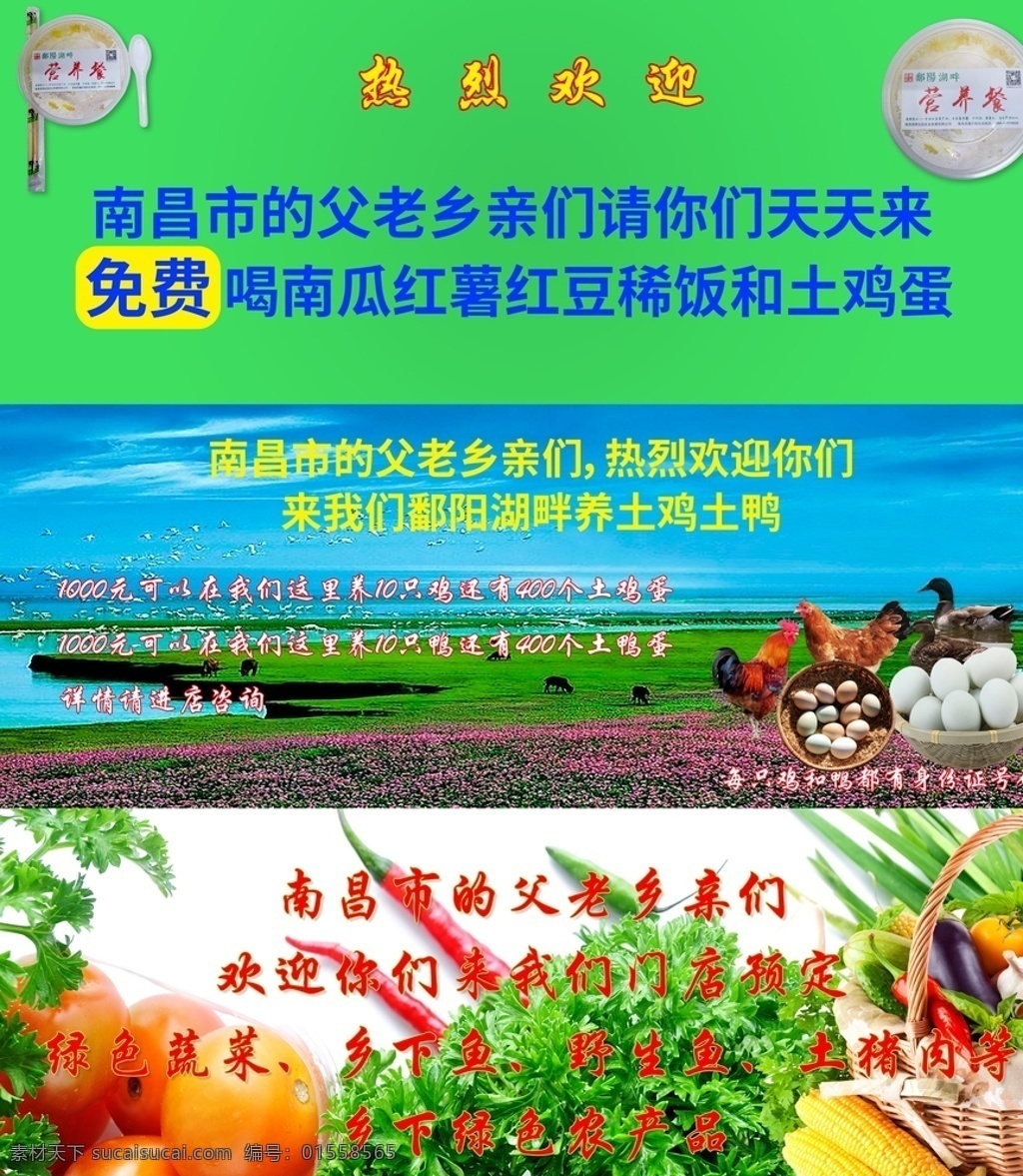 鄱阳湖畔 生态农业 绿 色生 态 农 业